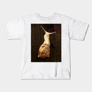 ibs snail Kids T-Shirt